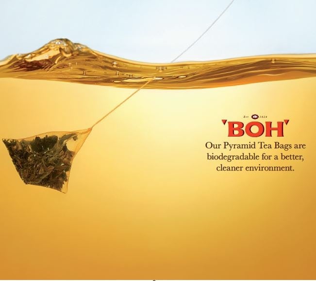 BOH pyramid bags are biodegradable.