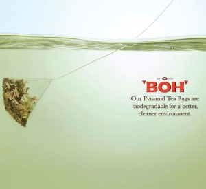 BOH Spa Infusions pyramid tea bags are biodegradable