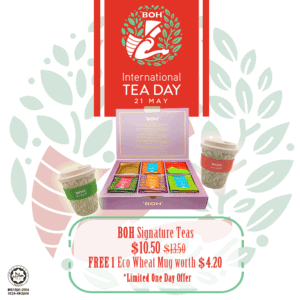 BOH International SignatureTea Day