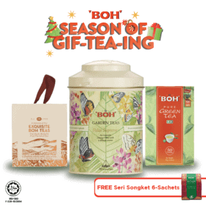 BOH Happy GifTEAing Bundle